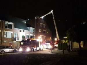 Kat op dak Jannink Goor