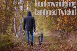 hondenwandeling